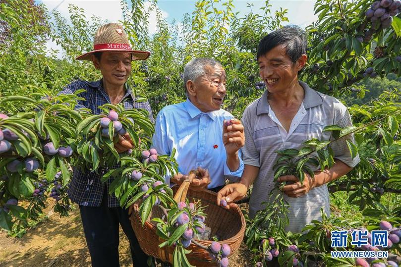 （新华全媒头条·图文互动）（10）山乡巨变——来自贵州扶贫一线的报告