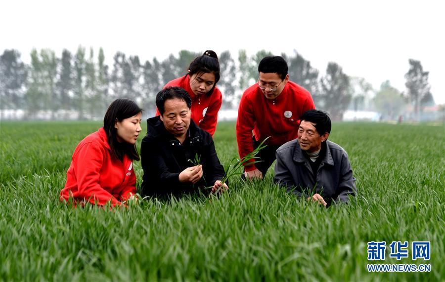 （爱国情 奋斗者·图文互动）（1） “解民生之多艰，育天下之英才”——中国农大师生扎根田野书写奉献之歌