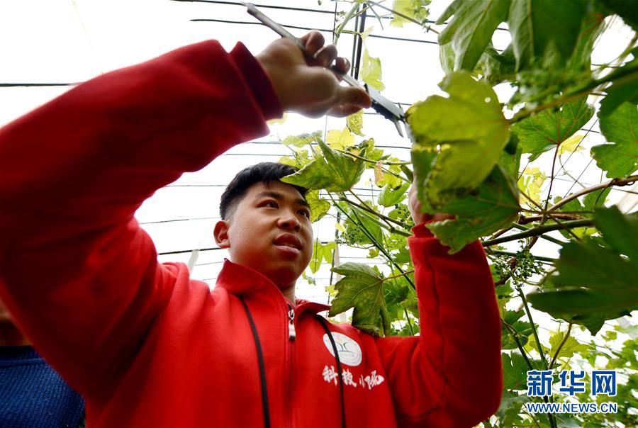 （爱国情 奋斗者·图文互动）（8） “解民生之多艰，育天下之英才”——中国农大师生扎根田野书写奉献之歌