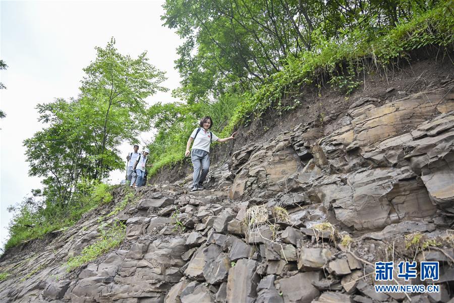 （壮丽70年·奋斗新时代——记者再走长征路·图文互动）（1）红军洞 红军路 红岩村——永不止息的长征精神