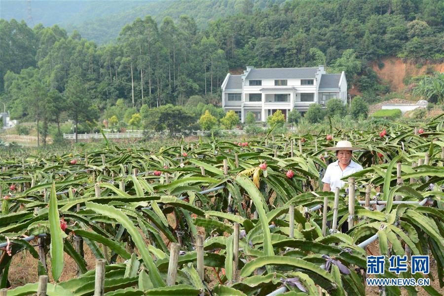 （在习近平新时代中国特色社会主义思想指引下——新时代新作为新篇章·总书记关心的百姓身边事·图文互动）（6）大污染变身“大宝藏”：治理畜禽粪污，他们这样干！