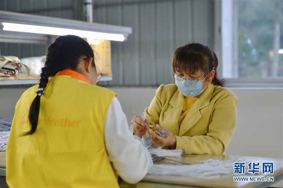 （图文互动）（2）人回乡、钱回流、企回迁——一个大石山区贫困县的返乡创业故事 