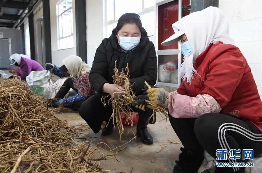 （新华全媒头条·图文互动）（2）特殊时期，他们这样履职——全国人大代表这个春天在行动