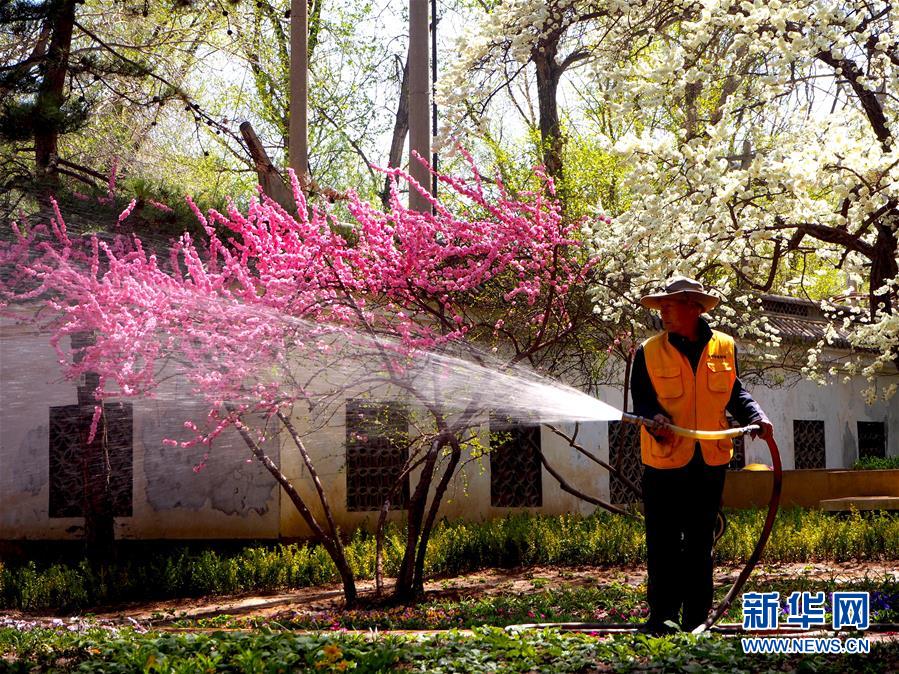 （图文互动）（1）特写：西宁花事