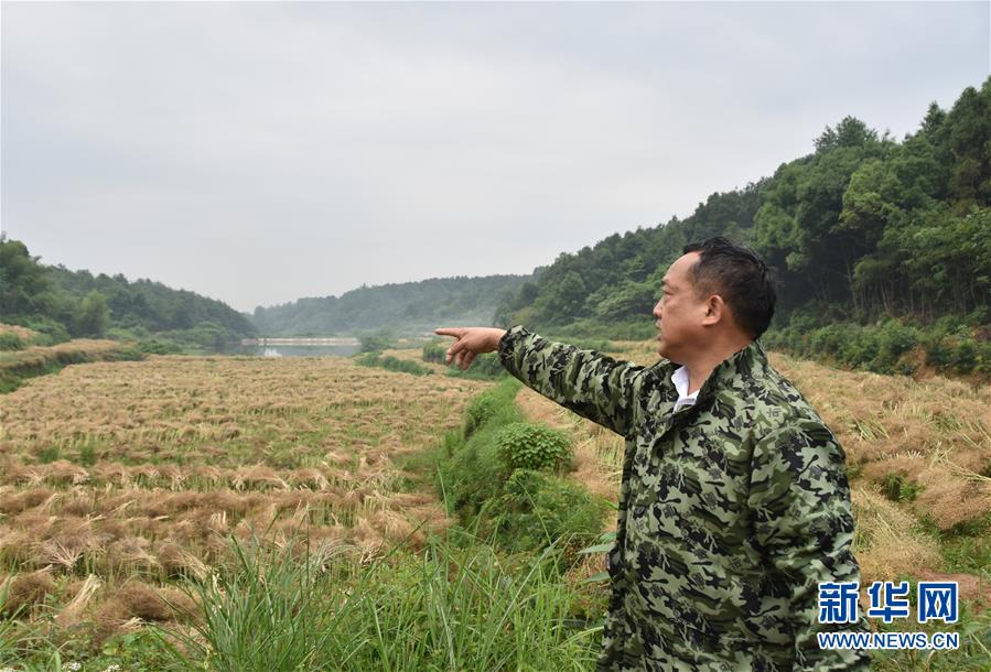 （代表委员履职·图文互动）（2）“我是农民代表，始终关注农村”——全国人大代表沈昌健的履职故事