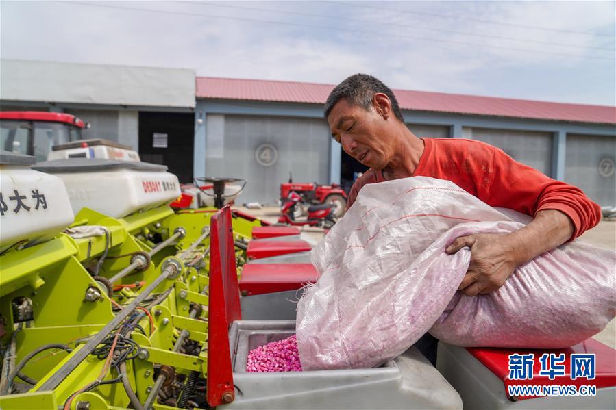 （在习近平新时代中国特色社会主义思想指引下——新时代新作为新篇章·习近平总书记关切事·图文互动）（8）让每一寸耕地都成为丰收的沃土——我国加强耕地?；ね平?ldquo;藏粮于地”