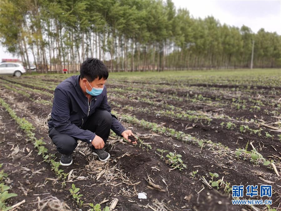 （在习近平新时代中国特色社会主义思想指引下——新时代新作为新篇章·习近平总书记关切事·图文互动）（6）让每一寸耕地都成为丰收的沃土——我国加强耕地?；ね平?ldquo;藏粮于地”