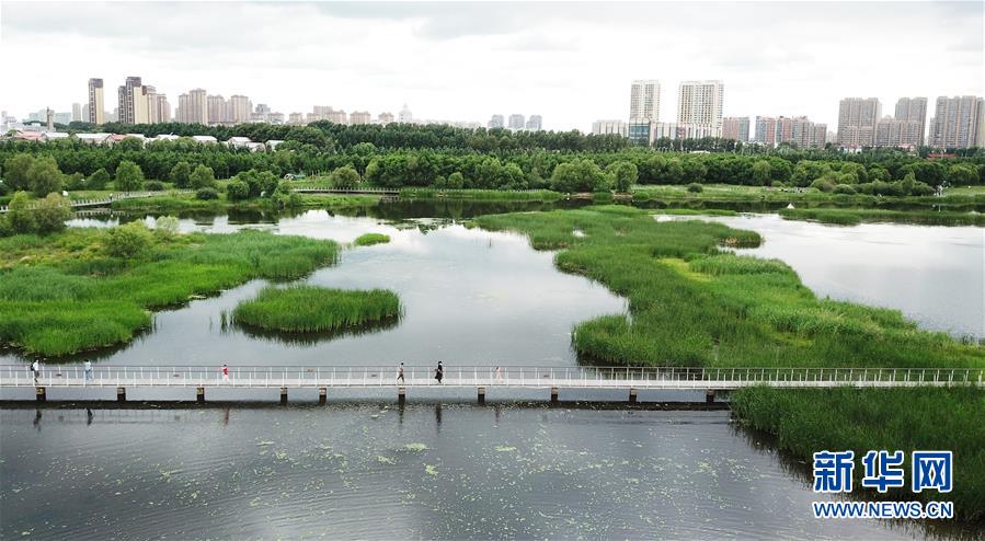 （走向我们的小康生活·图文互动）（1）水清、地绿、空气新——最北省份黑龙江绘就生态治理新画卷