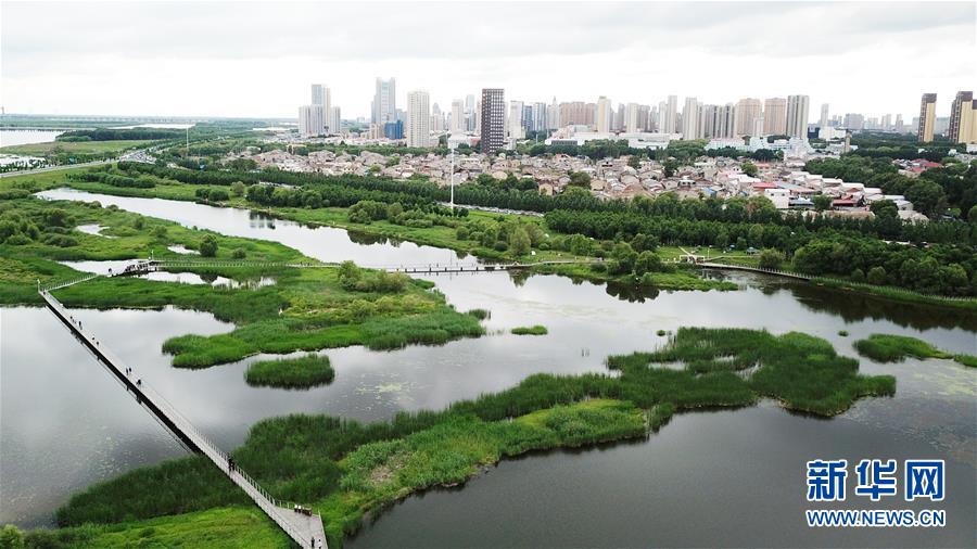 （走向我们的小康生活·图文互动）（2）水清、地绿、空气新——最北省份黑龙江绘就生态治理新画卷