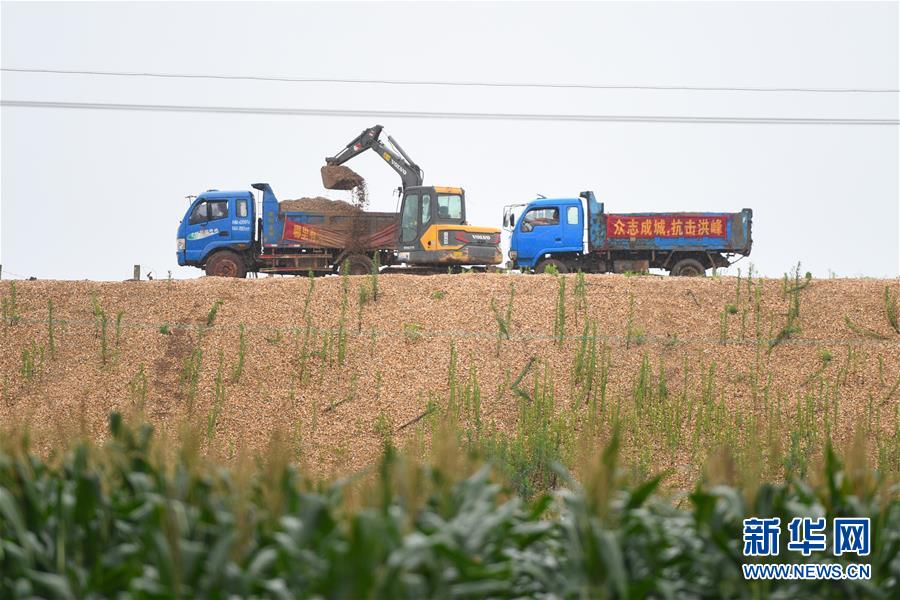 （防汛抗洪·图文互动）（4）“险情不可怕，可怕的是不能及时发现险情”——洞庭湖巡堤查险现场直击