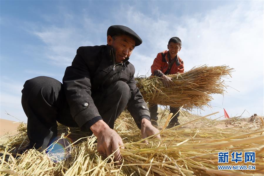 （在习近平新时代中国特色社会主义思想指引下——新时代新作为新篇章·习近平总书记关切事·图文互动）（5）绿色映底蕴，山水见初心——生态优先、绿色发展持续造福群众美好生活