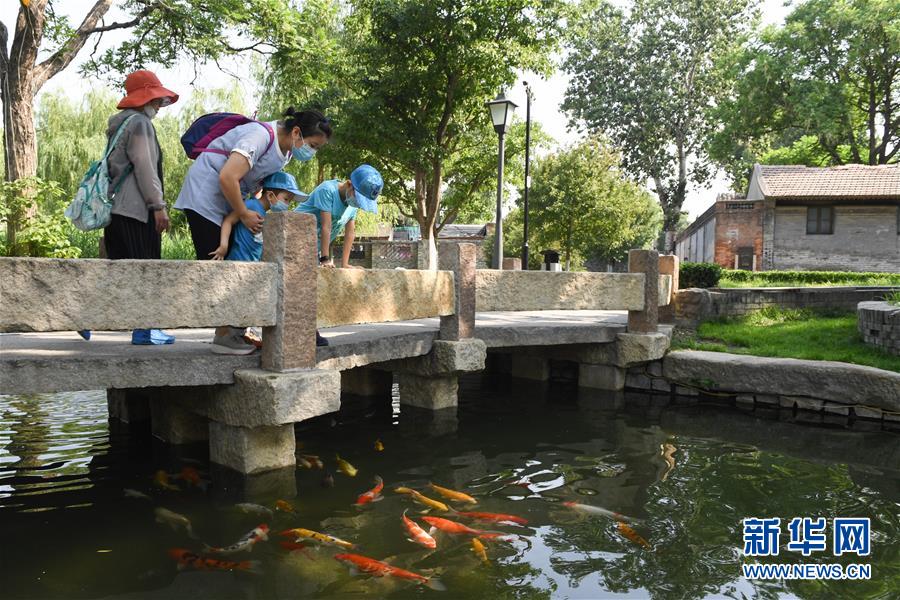 （走向我们的小康生活·图文互动）（2）小桥、流水、书香、人家——老北京胡同里的恬静栖居