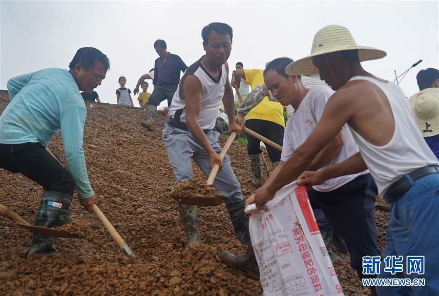 （在习近平新时代中国特色社会主义思想指引下——新时代新作为新篇章·习近平总书记关切事·图文互动）（6）洪峰浪尖，鲜红的党旗高高飘扬——记防汛抗洪一线的共产党员