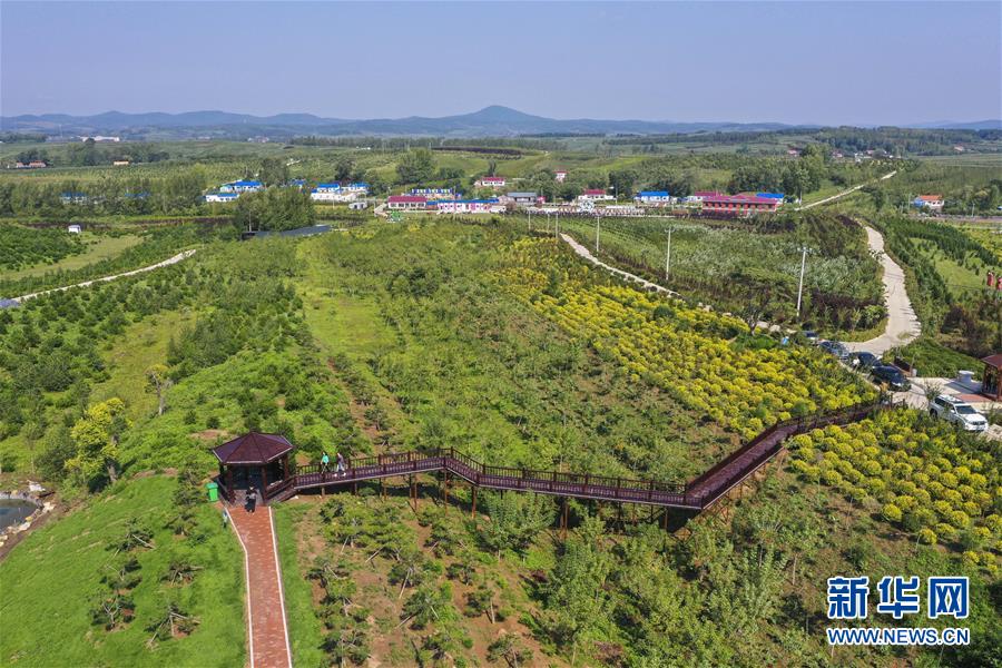 （新华全媒头条·走向我们的小康生活·图文互动）（16）黑土地上是我家——在吉林，一瞥中国东北乡村美丽未来