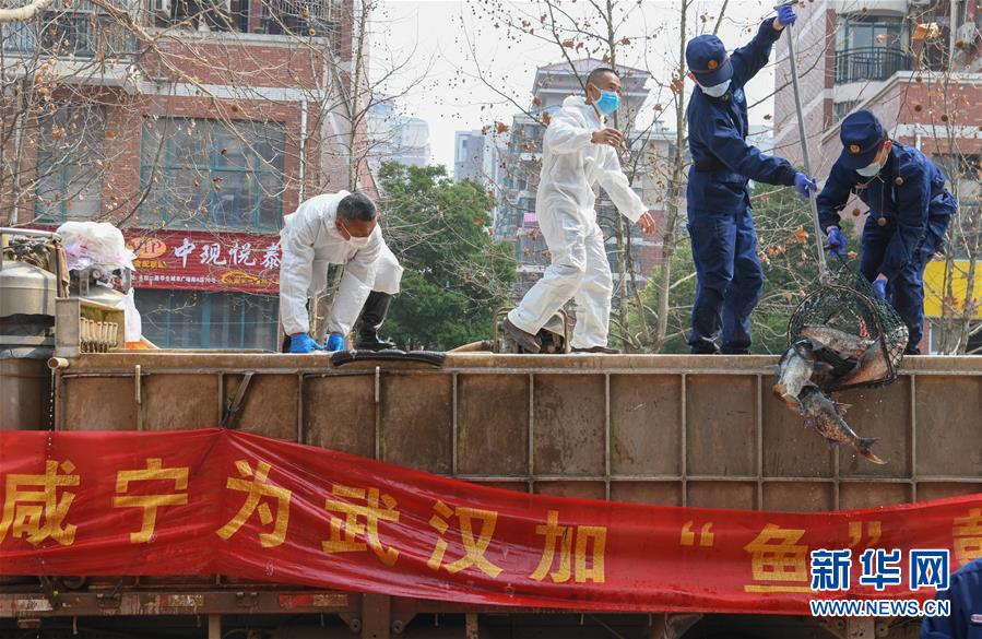 （新华全媒头条·图文互动）（12）从人民中汲取磅礴力量——习近平总书记同出席2020年全国两会人大代表、政协委员共商国是纪实