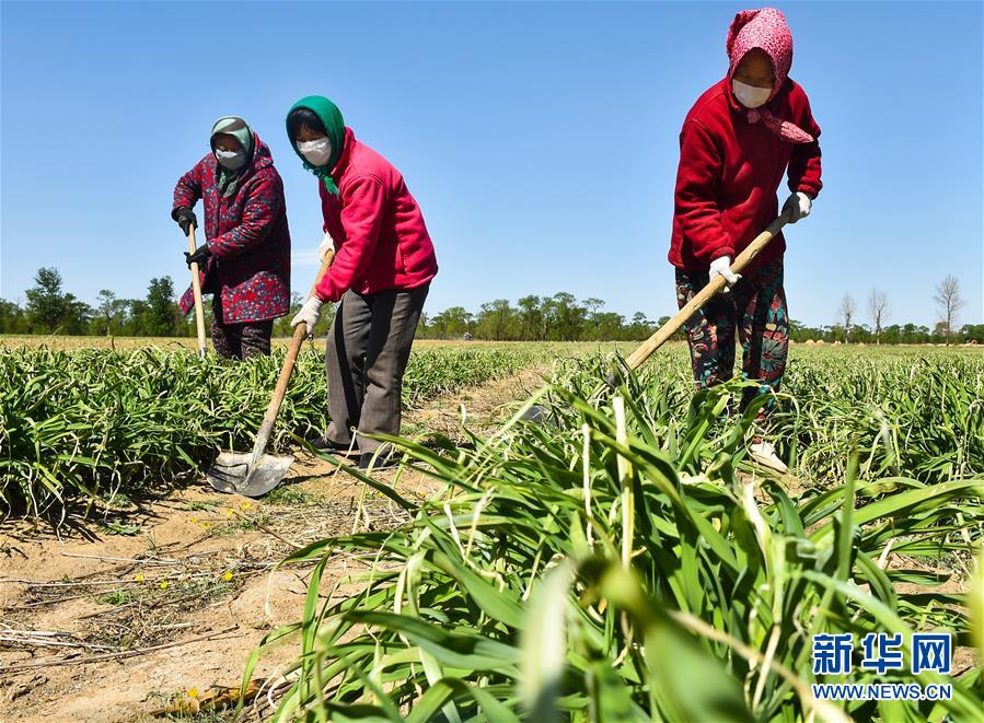 （新华全媒头条·图文互动）（17）从人民中汲取磅礴力量——习近平总书记同出席2020年全国两会人大代表、政协委员共商国是纪实