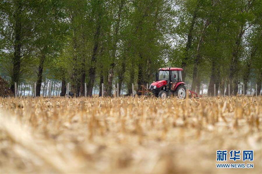 （在习近平新时代中国特色社会主义思想指引下——新时代新作为新篇章·习近平总书记关切事·图文互动）（9）让每一寸耕地都成为丰收的沃土——我国加强耕地?；ね平?ldquo;藏粮于地”