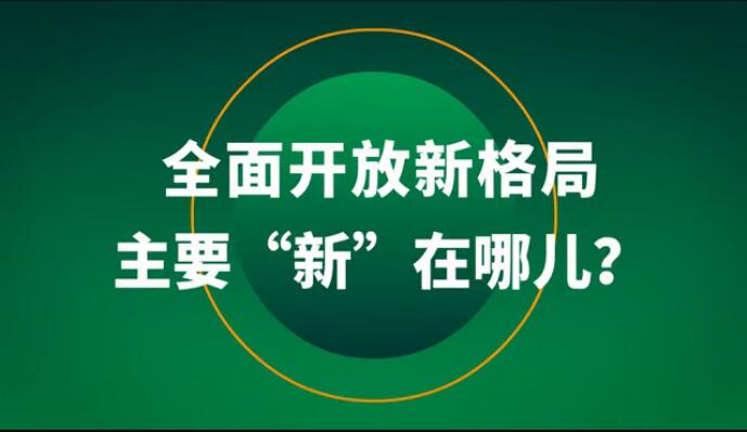 全面开放新格局主要“新”在哪儿？