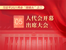 习近平2021两会“微镜头”之二：3月5日 人代会开幕，出席大会