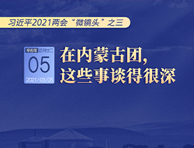 习近平2021两会“微镜头”之三 3月5日 在内蒙古团，这些事谈得很深