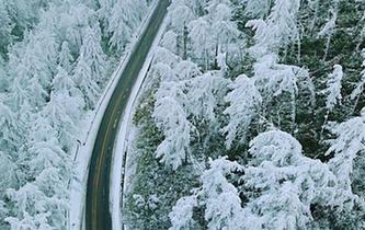 湖北现“林海雪原” 银装素裹风景如画